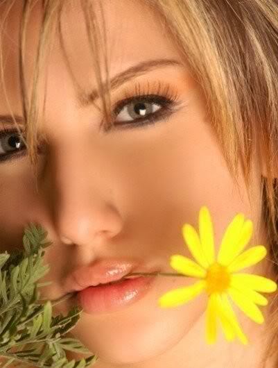 La Magie de la Reconquête