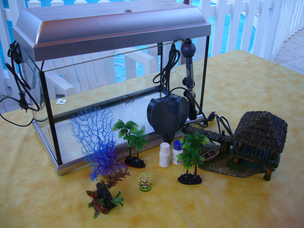 AQUARIUM 50 cm x 25 cm AVEC ACCESSOIRES NEUF 50,00 EUROS