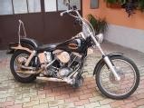Particulier vend Harley-Davidson FLH 1340 Schovel