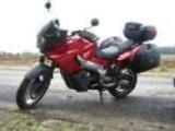 Particulier vend Aprilia caponord
